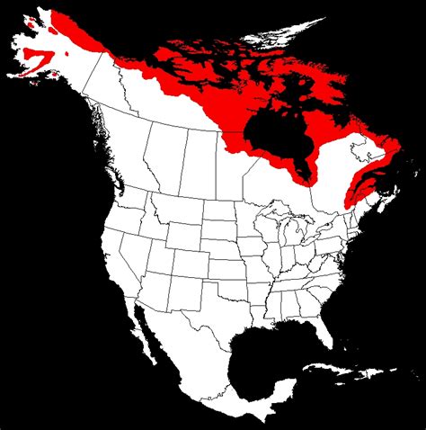 red char|arctic char range map.